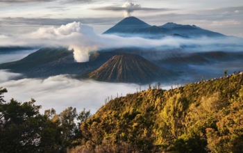 bromo tour
